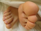 IMG 5854
